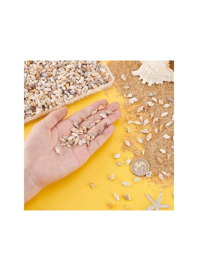 The Bros 1400-1500pcs Sea Shell Beads 7-12mm Tiny Crushed Shells Miniature Shells NO Hole Seashells Ocean Spiral Seashells for Resin Candle Home Party Wedding Fish Tank Vase Filler  - Image 4