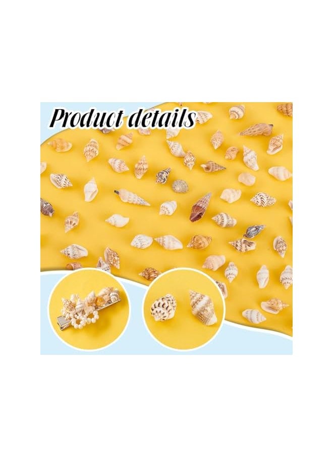 The Bros 1400-1500pcs Sea Shell Beads 7-12mm Tiny Crushed Shells Miniature Shells NO Hole Seashells Ocean Spiral Seashells for Resin Candle Home Party Wedding Fish Tank Vase Filler  - Image 5
