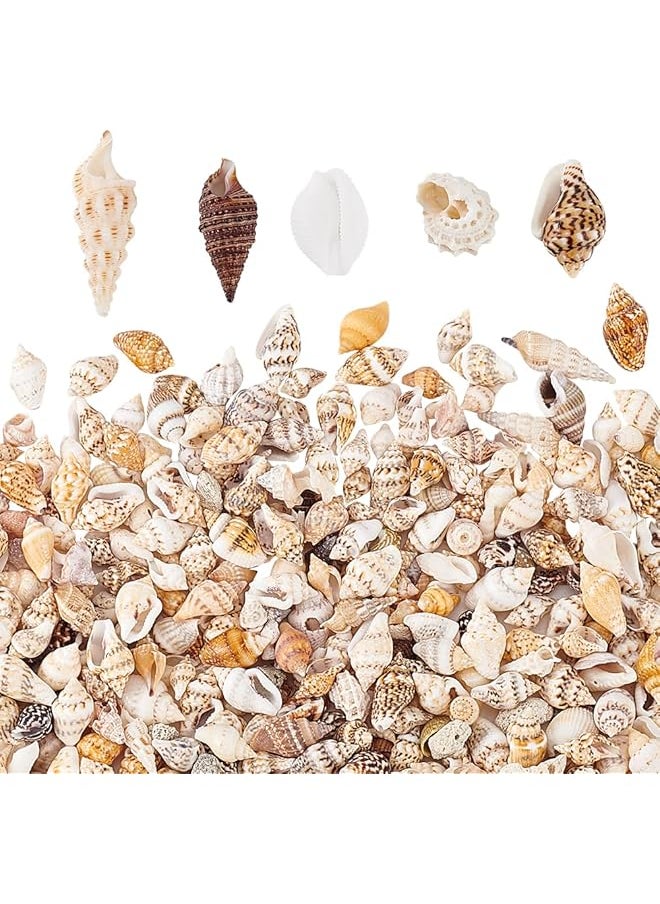 The Bros 1400-1500pcs Sea Shell Beads 7-12mm Tiny Crushed Shells Miniature Shells NO Hole Seashells Ocean Spiral Seashells for Resin Candle Home Party Wedding Fish Tank Vase Filler  - Image 1