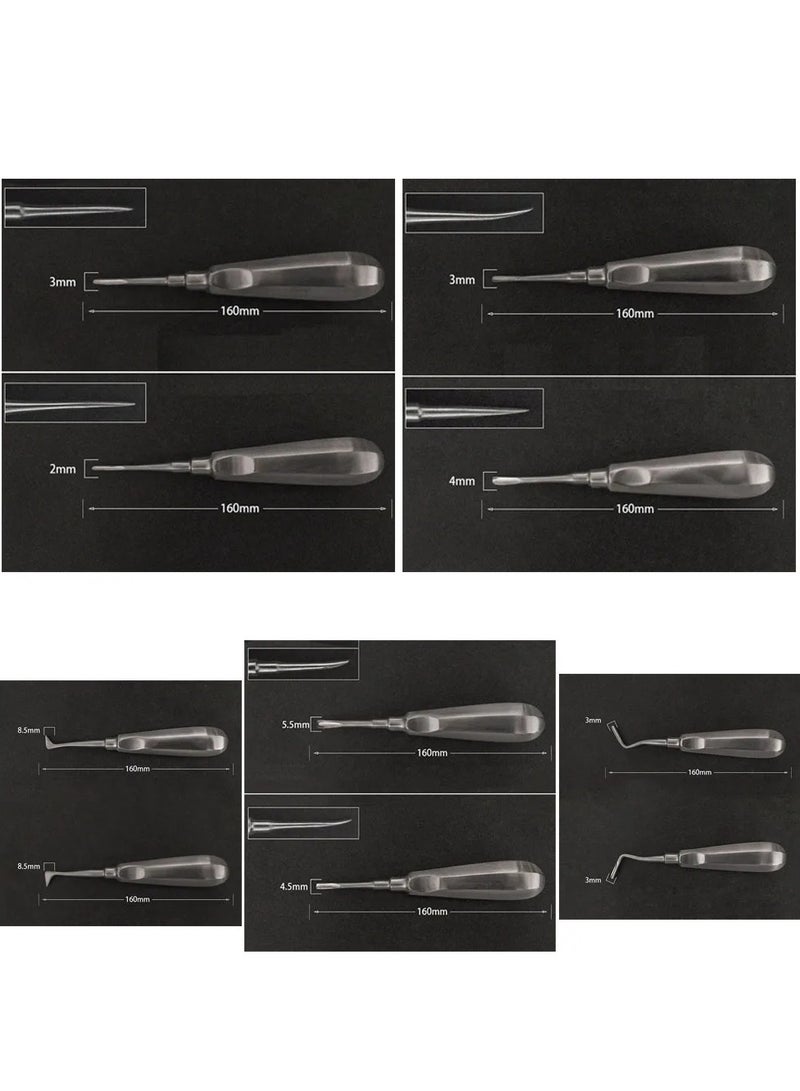 10 قطع من ملاقط رفع الأسنان لاستخراج الأسنان من الفولاذ المقاوم للصدأ، أدوات جراحية لأطباء الأسنان - Image 2