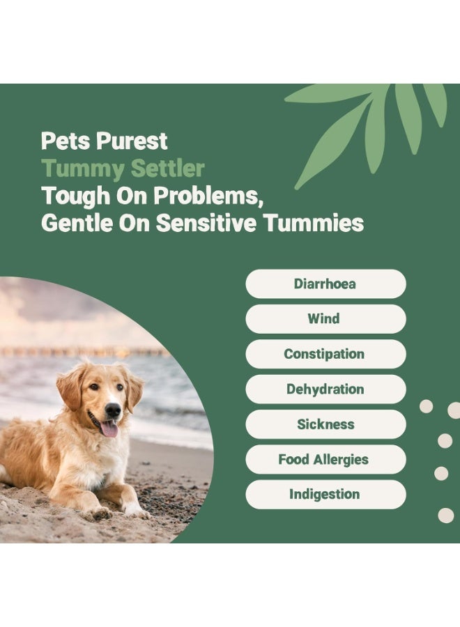 Pets Purest Tummy Settler for Dogs, Cats & Pets - 100% Natural Fast Acting Relief for Digestion, Diarrhoea, Constipation & More - Liquid Paste Digestive Supplement with Easy Syringe - 250 ml - Image 3