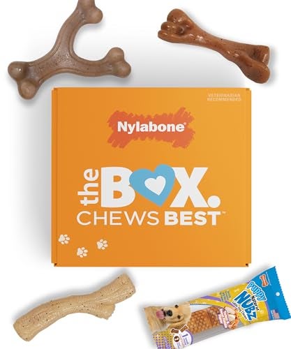 Nylabone Puppy Gift Box Includes 3 Strong Puppy Chew Toys and 1 Natural Treat Bone for Puppies Gifts for Puppies Small Dogs Up to 25 lbs 4 Pack - Image 1