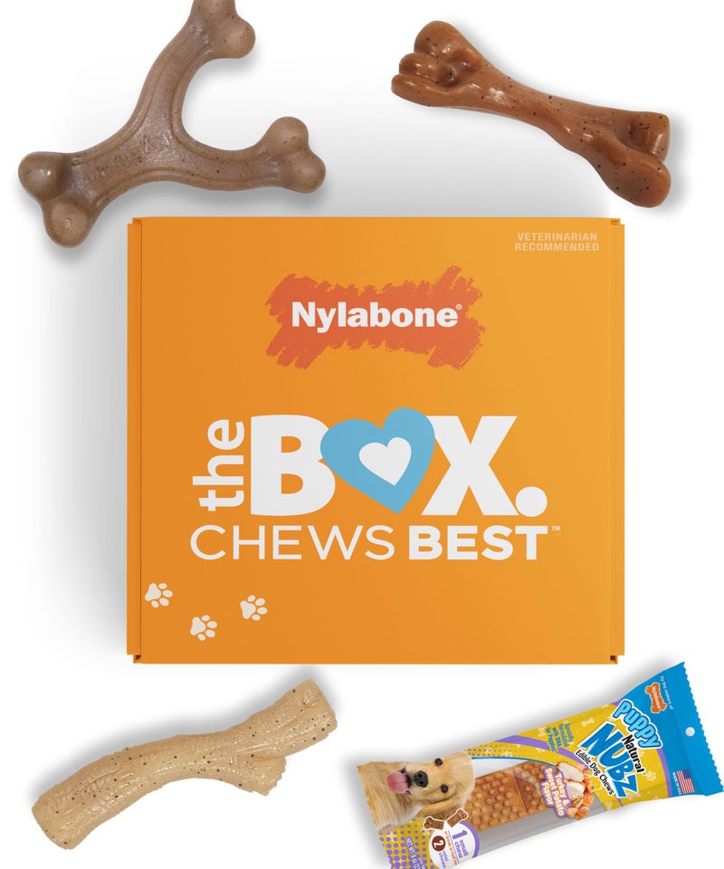 Nylabone Puppy Gift Box Includes 3 Strong Puppy Chew Toys and 1 Natural Treat Bone for Puppies Gifts for Puppies Small Dogs Up to 25 lbs 4 Pack - Image 2