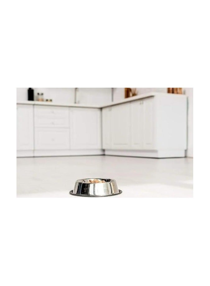 Stainless Steel Dog and Cat Bowl with Rubber Base for Small, Medium and Large Dogs and Cats, Food and Water Bowl, Perfect Choice for All Breeds (XL) - Image 1