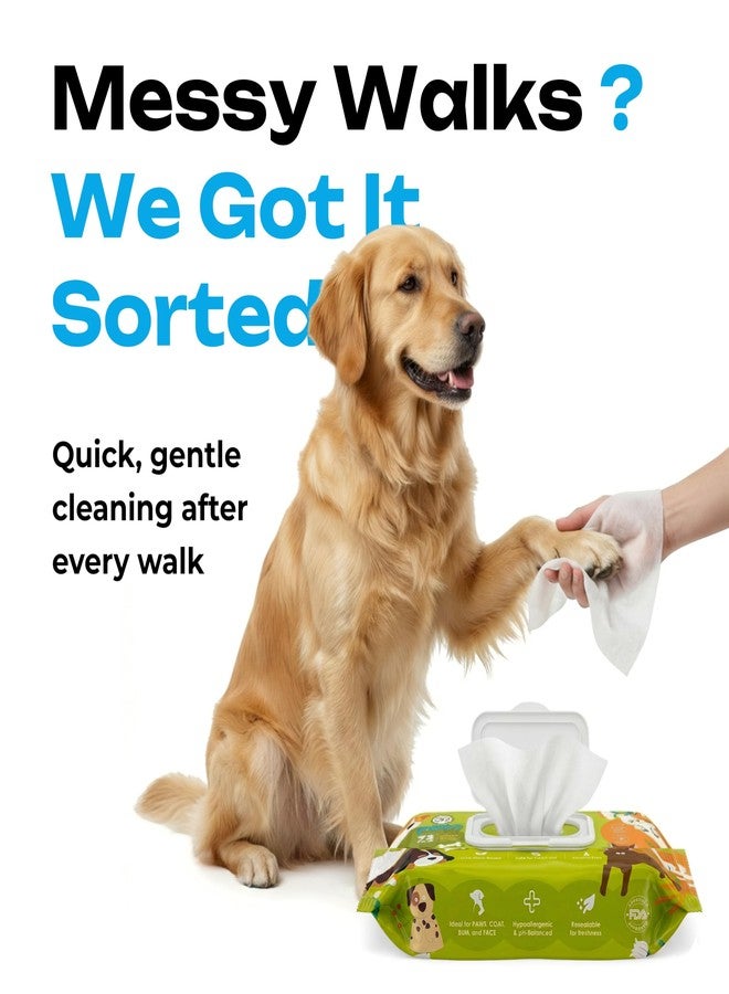 PECO Eco-Pure Pet Wipes 72 Count - 18 x 20 cm | Biodegradable, Plant-Based | Aloe Vera, Vitamin E & Castor Oil | Hypoallergenic, Alcohol-Free | Deodorising & Grooming Wipes for Dogs, Cats & All Pets - Image 3