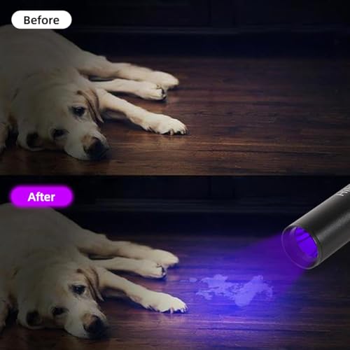 Hilngav 10 Pack Rechargeable Black Flashlight Small UV Black Flash Light 395 NM, Mini USB C LED Blacklight Flashlights Handheld Torch for Pet Dog Urine Resin Curing Fluorescent Agent Stains Detection - Image 3