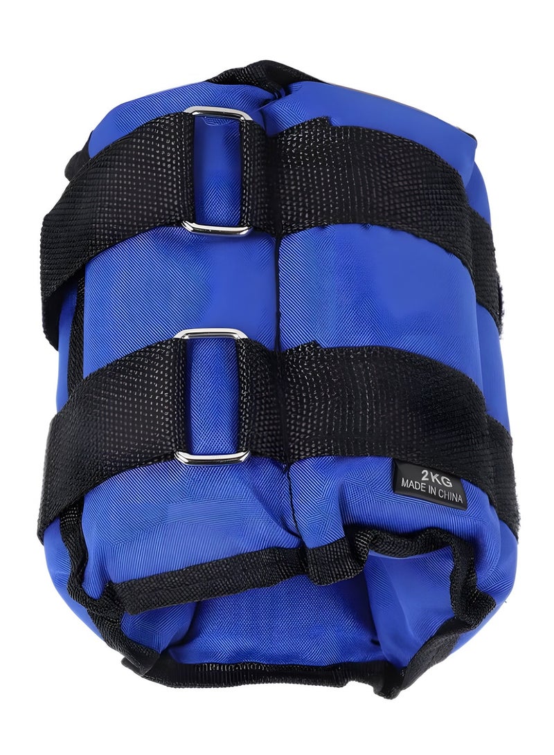BIG MAX Two-piece Sand Weight Bag for the Arms and Feet, 4kg in Total (2kg Each) - Image 2