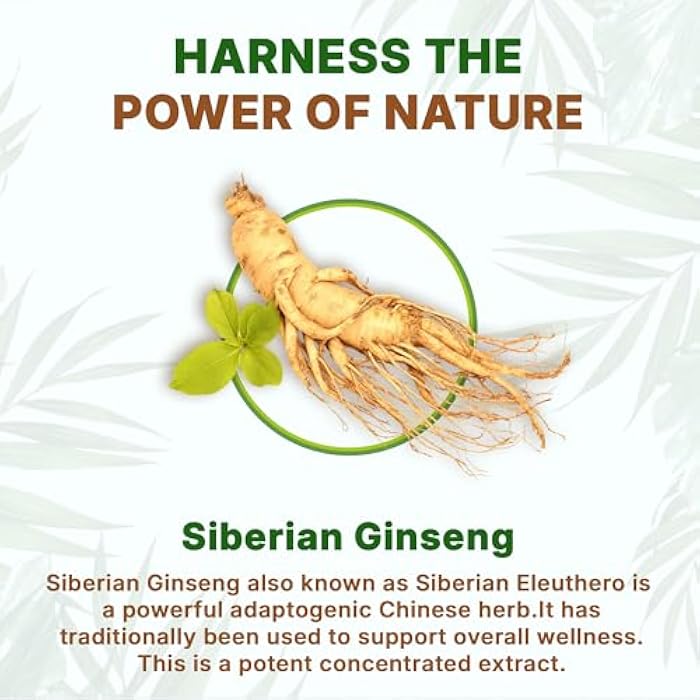 Go Nutra Siberian Ginseng - Eleuthero Root Powder | 4:1 Extract 4X Times Stronger | Supports Energy & Stamina | Natural & Adaptogenic | Eleutherococcus Senticosus | Non-GMO | 4 Ounce - Image 4