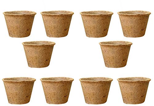 COIR GARDEN Coir Pot Basket for Gardening Plants and Flowers (6-inch) - Pack of 10 - Image 1