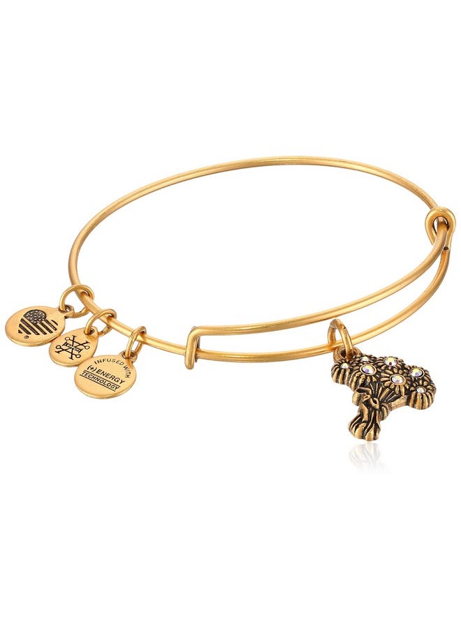 ALEX AND ANI Womens I Pick You Ewb Bangle Bracelet Rafaelian Gold Expandable  - Image 1