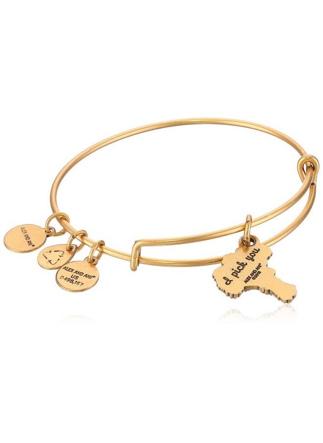 ALEX AND ANI Womens I Pick You Ewb Bangle Bracelet Rafaelian Gold Expandable  - Image 2