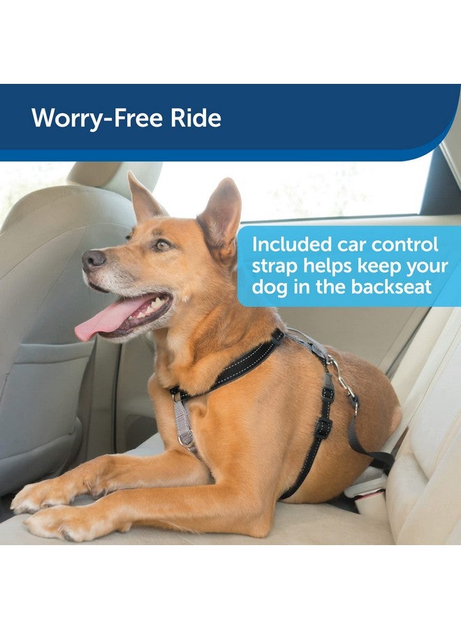 بيت سيف حزام PetSafe 3 في 1 مع مقود تحكم بنقطتين، حزام بدون سحب، متوسط، أسود، قابل للتعديل - Image 2