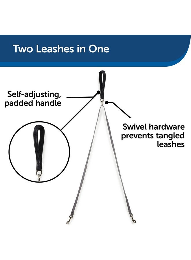 بيت سيف حزام PetSafe 3 في 1 مع مقود تحكم بنقطتين، حزام بدون سحب، متوسط، أسود، قابل للتعديل - Image 4