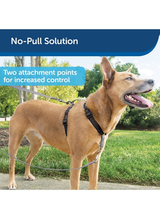 بيت سيف حزام PetSafe 3 في 1 مع مقود تحكم بنقطتين، حزام بدون سحب، متوسط، أسود، قابل للتعديل - Image 5