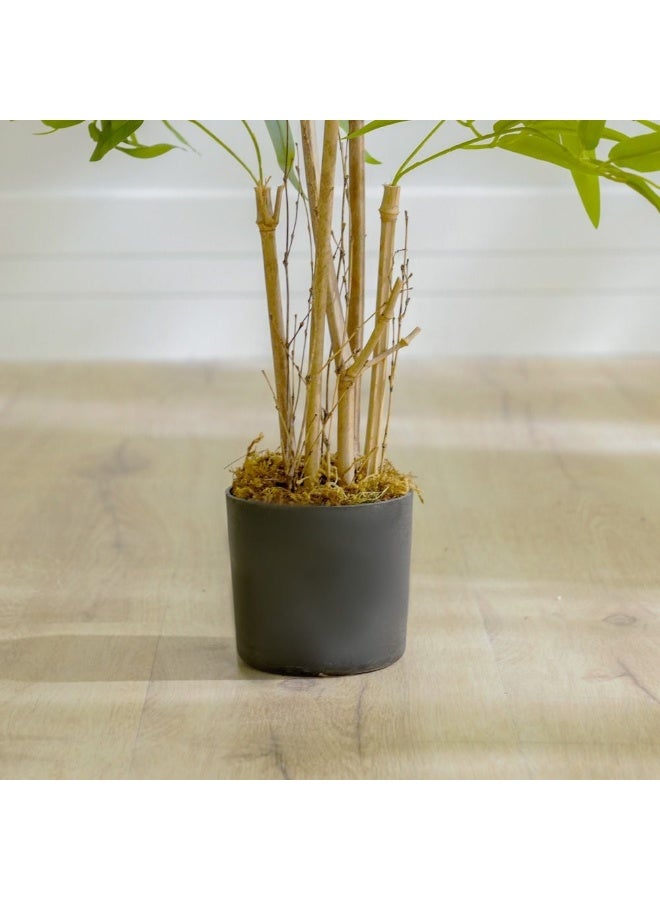 DANUBE HOME Nature Bamboo Plant | Decorative Plastic Plant Décor | Uv Resistant Faux Plants Greenery Artificial Plant For Home Garden Indoor Outdoor 90 cm - Green - Image 4
