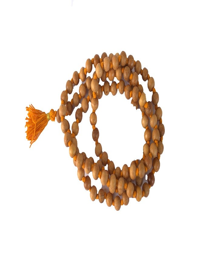 GRI9 8MM Tulsi mala Beads Necklace Holy Basil 108 + 1 Beads Ram Japa Prayer Mala Energized 108 Hindu Tibetan Buddhist Rosary for Chanting Mantra (Orange Tessel) - Image 1