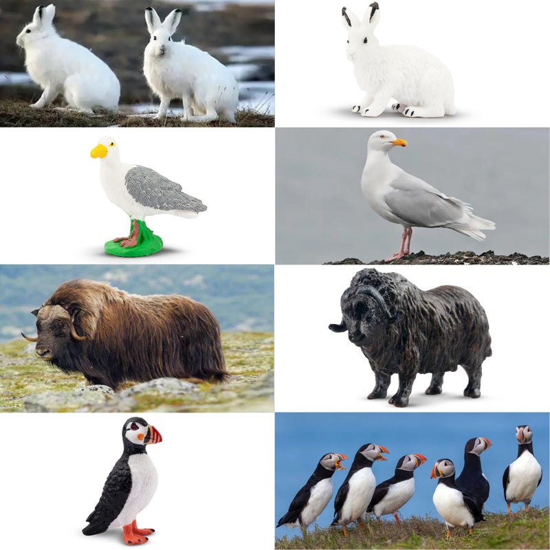 Toymany 14PCS Mini Arctic Animals Figurines Set, Polar Animals Toys with Polar Bear, Caribou, Penguin, Walrus, Wolf Figurines Cake Toppers Birthday Easter Gifts for Preschool Kids - Image 4