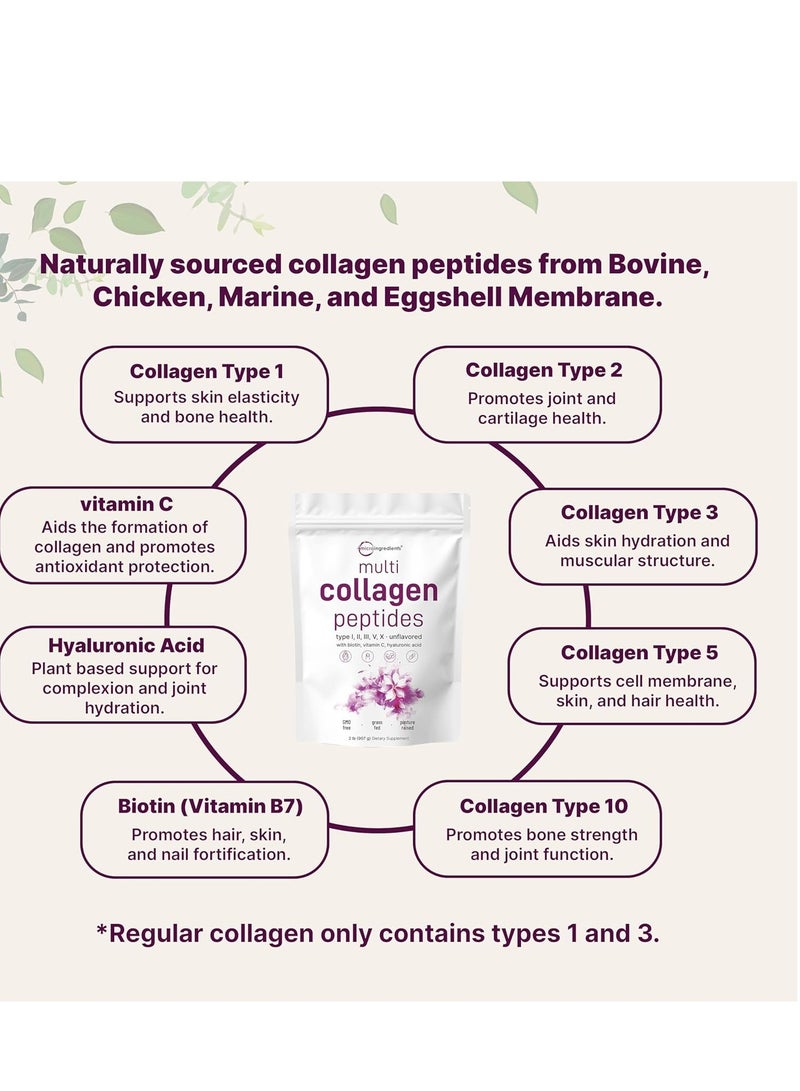 Micro Ingredients Multi Collagen Protein Powder,with Biotin 10000mcg, Hyaluronic Acid, Vitamin C 2lbs  - Image 3