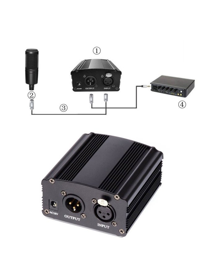 ميكروفون مكثف كبير الحجاب الحاجز مع طاقة شبحية 48 فولت مباشرة، ميكروفون طاقة 48 فولت - Image 5