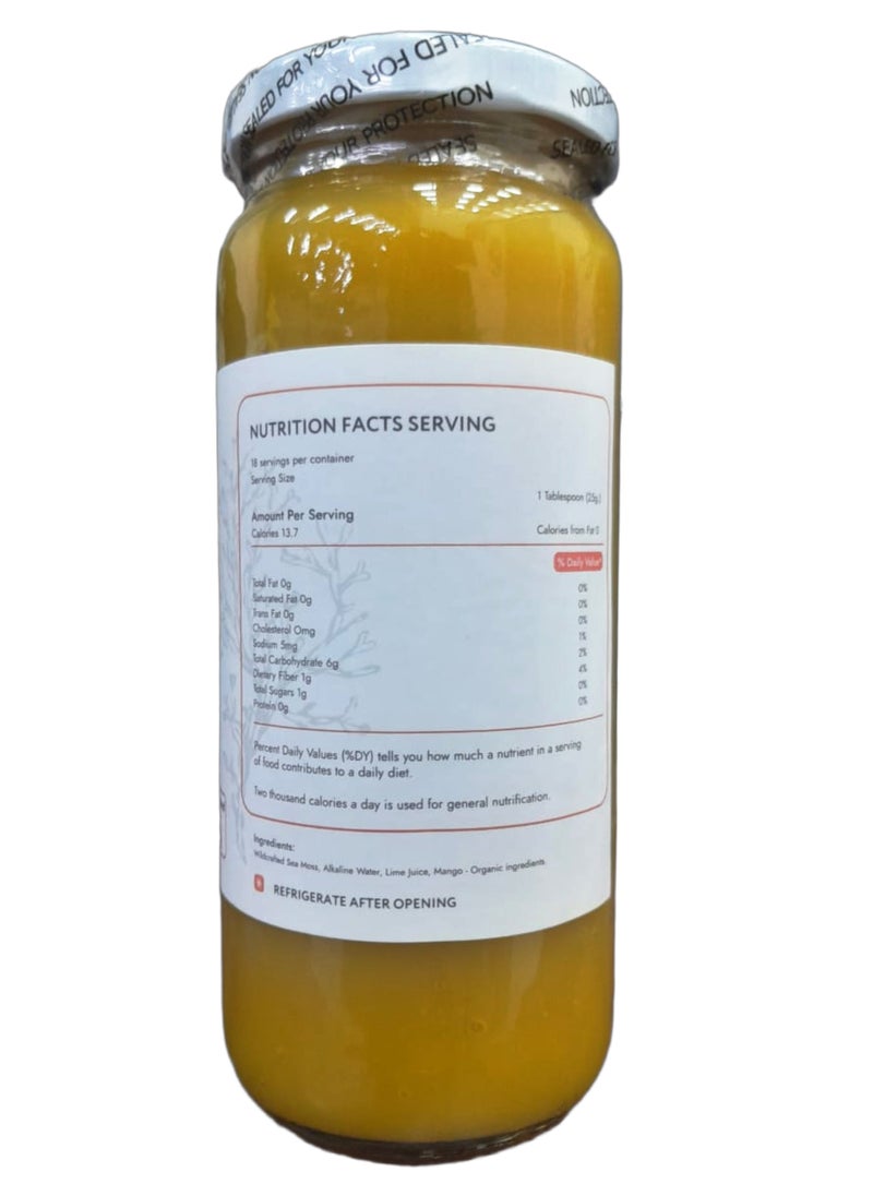 Biolore - Sea Moss Gel, Mango 16 oz - Image 1