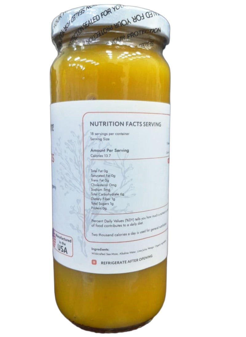 Biolore - Sea Moss Gel, Mango 16 oz - Image 1