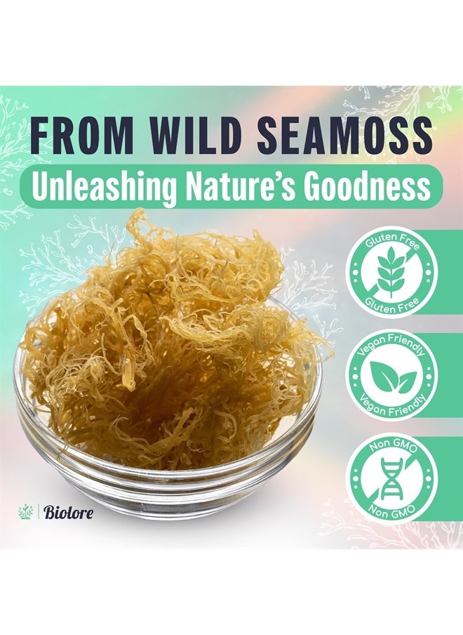 Biolore - Sea Moss Gel, Mango 16 oz - Image 1