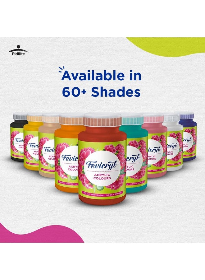 Fevicryl Acrylic Colour Orange, 500ml, Art and Craft Paint, DIY Paint, Rich Pigment, Non-Craking Paint for Canvas, Wood, Leather, Earthenware, Metal | Ideal for School Projects, hobbyists, Artists - Image 5
