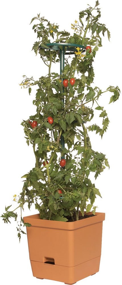 Hydrofarm GCTT Tomato 3-Foot Tree Tower, Orange and Green - Image 2