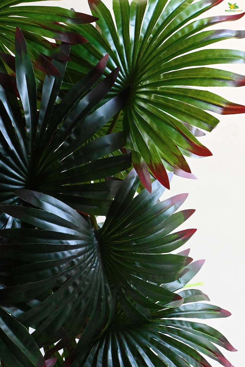 Blooming Floret Polyester Artificial Fan Palm 78.7 cm Tall | Basic Black Pot | 18 Leaves | Indoor Green Plant | Big Ornamental for Interior/Home/Office Decor | Durable - Image 2