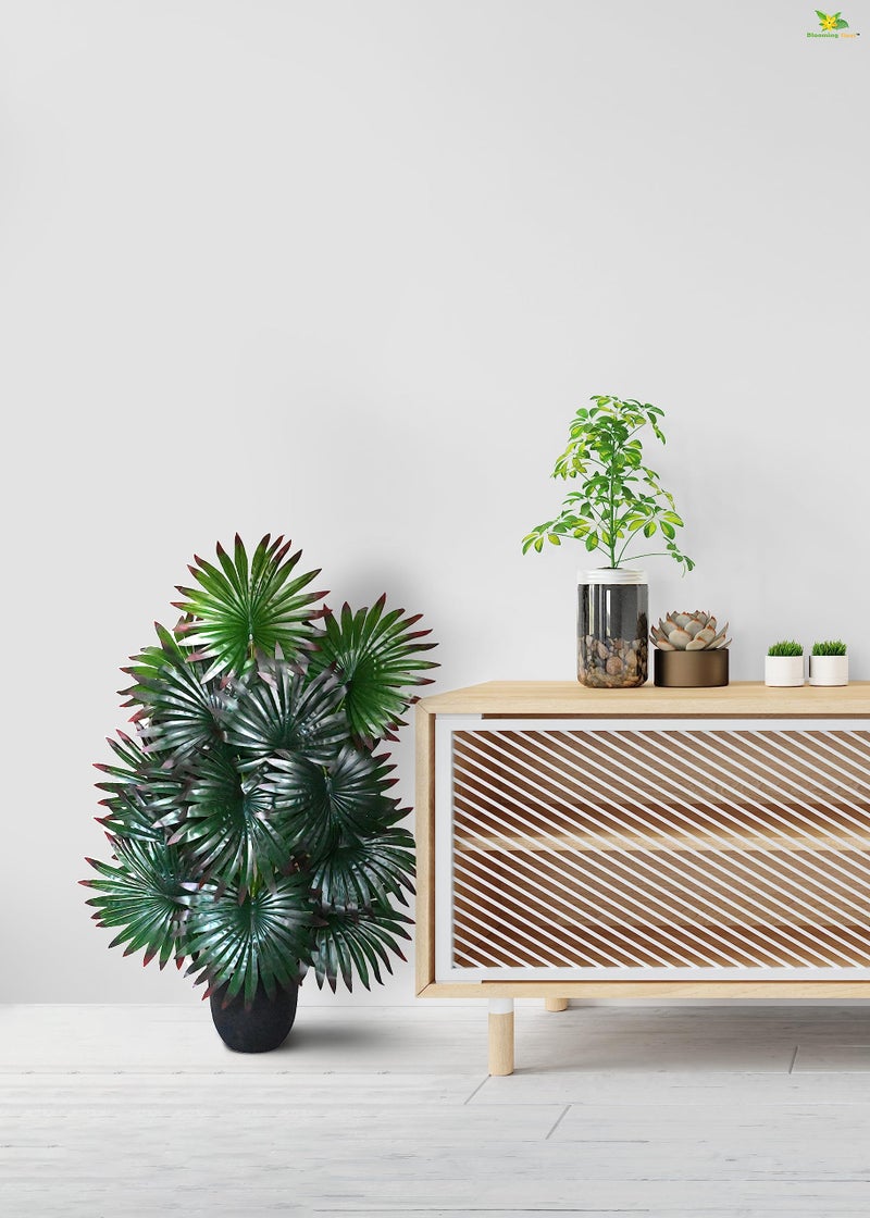 Blooming Floret Polyester Artificial Fan Palm 78.7 cm Tall | Basic Black Pot | 18 Leaves | Indoor Green Plant | Big Ornamental for Interior/Home/Office Decor | Durable - Image 5