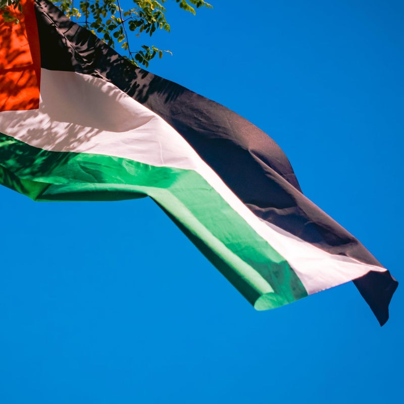 Runesol Palestine Flag, 91 x 152 cm, (3 ft x 5 ft) Palestinian Banner, 4 Loops, Eyelets on Each Corner, Solidarity, Free Palestine, Premium Flags, Inside, Outside Vibrant Colours - Image 5