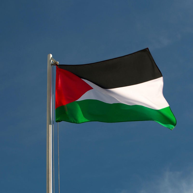 Runesol Palestine Flag, 91 x 152 cm, (3 ft x 5 ft) Palestinian Banner, 4 Loops, Eyelets on Each Corner, Solidarity, Free Palestine, Premium Flags, Inside, Outside Vibrant Colours - Image 3