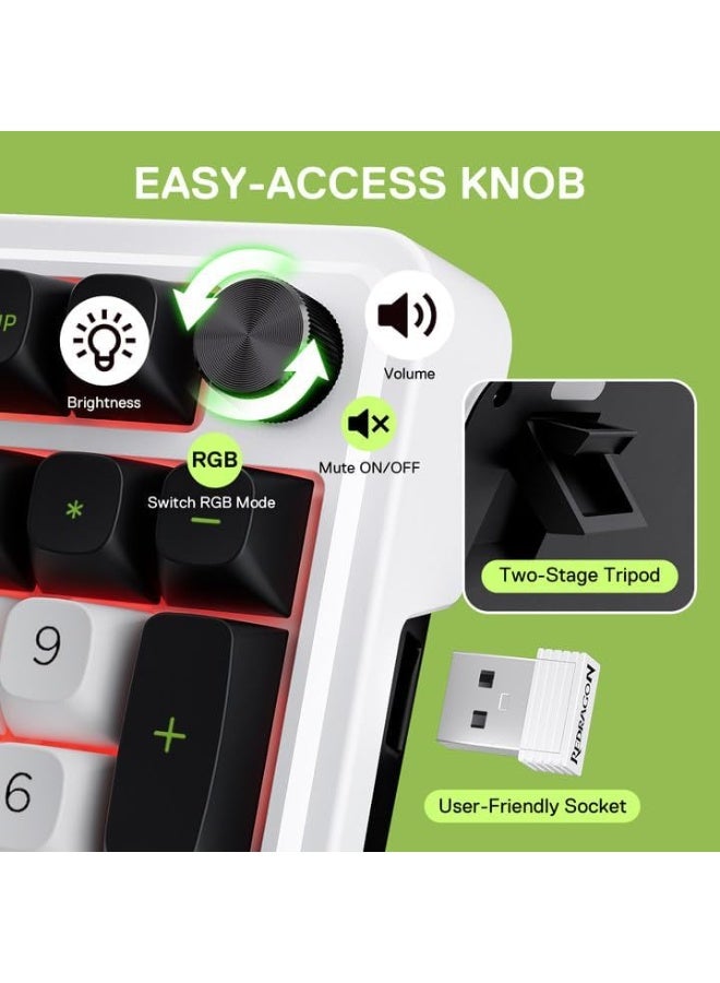 ريدراجون K686WBG إصدار EISA ماكس ، لوحة مفاتيح ميكانيكية للألعاب RGB سلكية مع 3 أوضاع ، 98 مفتاح مع مقبض ، تركيب جازكيت ، قابلة للتبديل الساخن ، اتصال 2.4G/BT متاح ، تركيب جازكيت يوفر ، مزودة بمفتاح مينت مامبو ، لوحة مفاتيح ميكانيكية مدمجة مع مفاتيح الأسهم المخصصة ، للاستخدام على الكمبيوتر الشخصي واللابتوب في المنزل والمكتب - مفتاح أزرق - Image 5