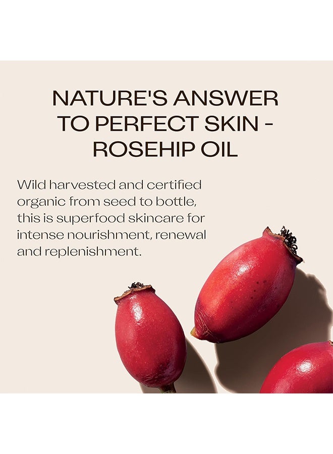 تريلوجي زيت حبوب الورد العضوي المعتمد 45 مل - زيت حبوب الورد الزيتي النقي المُستخلص بالضغط البارد لعلاج الندوب، الندوب الناتجة عن الحمل، الخطوط الدقيقة والتجاعيد - مع أوميغا 3، 6 و9 مناسب لجميع أنواع البشرة - Image 4