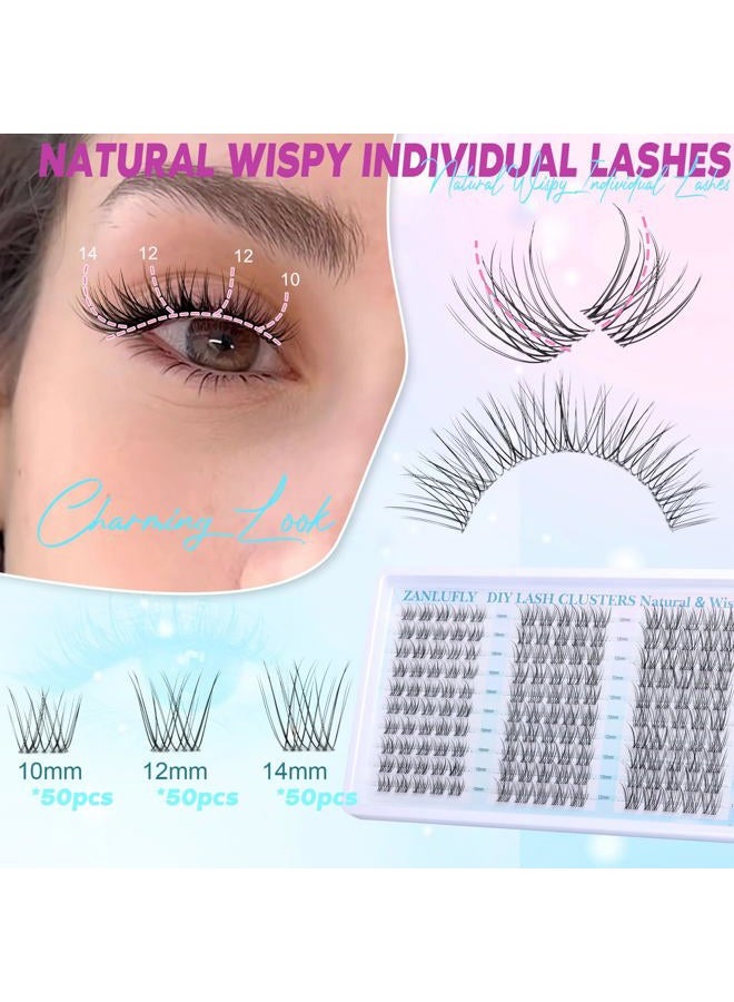zanlufly Clear Band Lash Clusters Natural Lash Extensions Wispy Cluster Eyelash Extensions 10-14mm C Curly Eyelash Clusters DIY Individual lashes 150PCS Cluster Lashes by zanlufly - Image 3