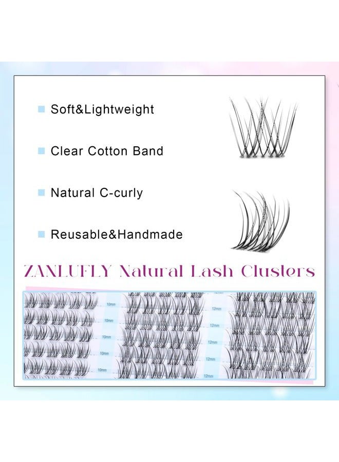 zanlufly Clear Band Lash Clusters Natural Lash Extensions Wispy Cluster Eyelash Extensions 10-14mm C Curly Eyelash Clusters DIY Individual lashes 150PCS Cluster Lashes by zanlufly - Image 2
