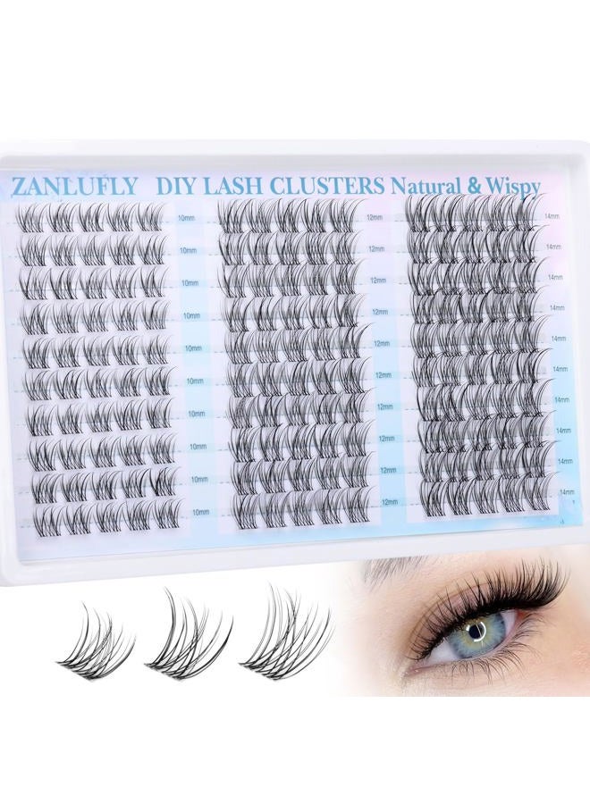 zanlufly Clear Band Lash Clusters Natural Lash Extensions Wispy Cluster Eyelash Extensions 10-14mm C Curly Eyelash Clusters DIY Individual lashes 150PCS Cluster Lashes by zanlufly - Image 1