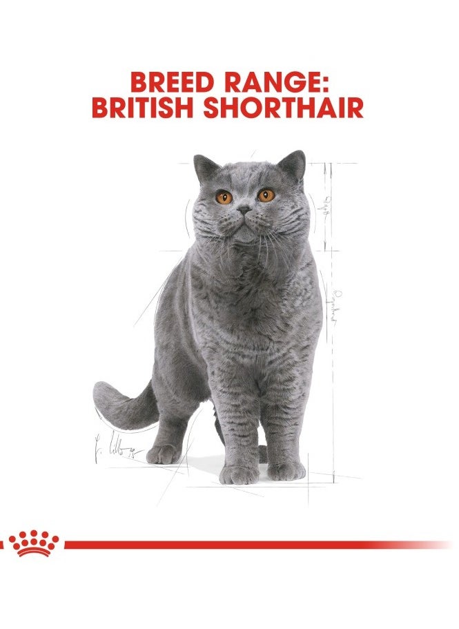 ROYAL CANIN - Feline Breed Nutrition British Shorthair Adult 4 KG - Image 1