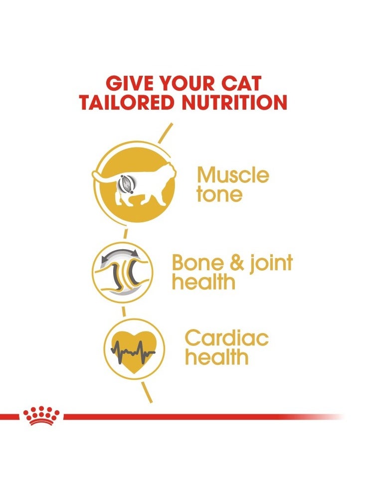 ROYAL CANIN - Feline Breed Nutrition British Shorthair Adult 4 KG - Image 1