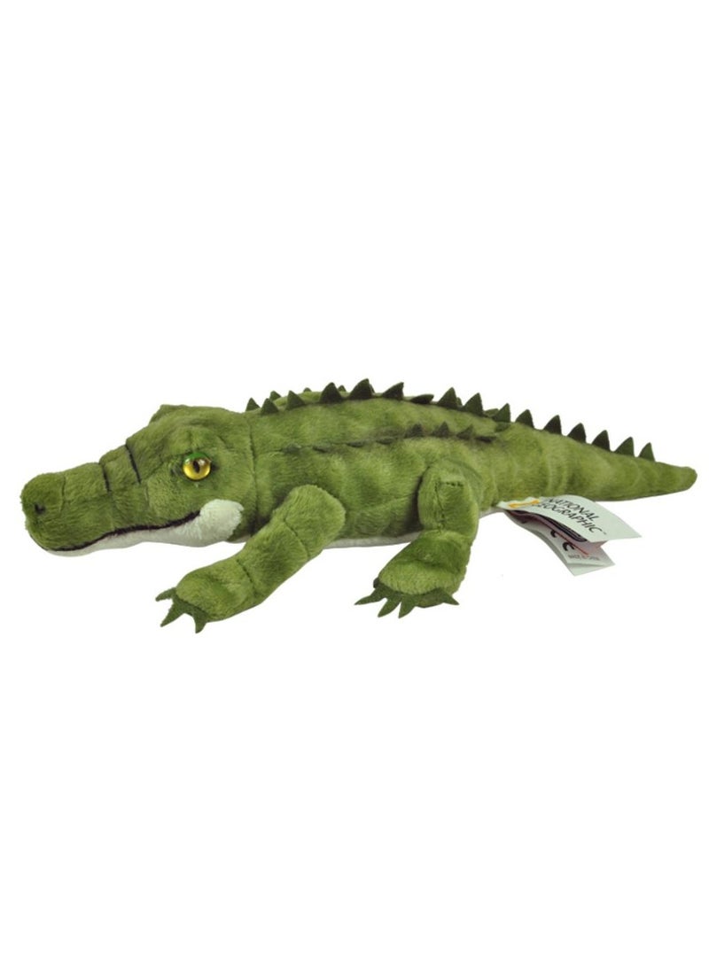 National Geographic Plush Premium Alligator 6-Inches | Soft Toy | Plush Toy | Gift for Kids and Adults - pzsku/Z52678897389D83BD9BE8Z/45/1741073613/a04d73a4-79b8-448c-8859-65bd6930b465