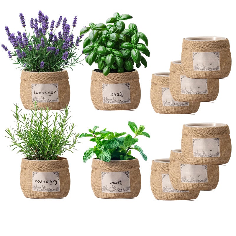 TineDew 10 Sets herb pots for Indoor Plants,5 inch Clear Plastic Plant Pots with Drainage and Saucer,herb planters with Vintage Decorative Burlap Flower-Pot Cover for Windowsill, Kitchen, Balcony - Image 1