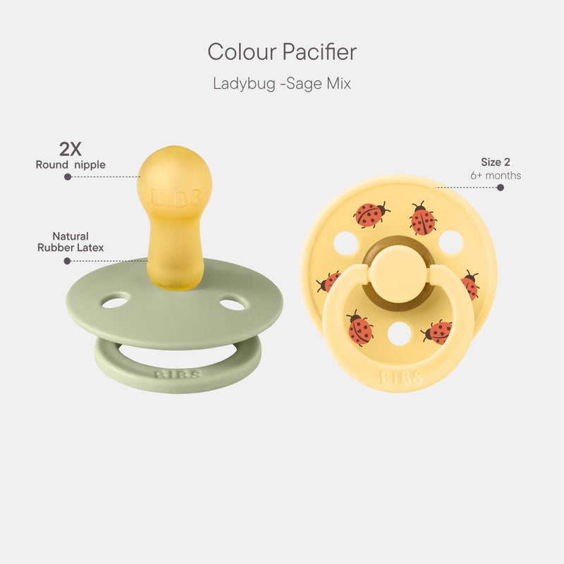 BIBS Studio Soother 2-Pack, BPA Free Dummy Pacifier, Round Nipple. Natural Rubber Latex, Made in Denmark, Size 2 (6-18 Months), Sage/Pale Butter - Image 2