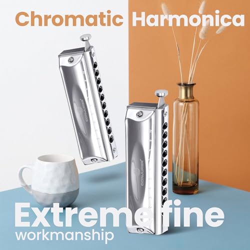 CONJURER Mouth Organ 10 Holes 40 Tunes of C Chromatic Mouth Organ Harp, Chromatic Harmonica for Beginners, Adults, Professionals, Students, Friends, Gifts (Sliver) - Image 2