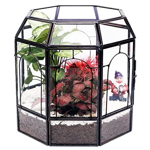 REDHUGO Large Glass Terrarium Handmade, Centerpiece Display Box Gift Planter Containers Indoor Terrariums House for Succulent Cacti Air Plants Miniature Fairy Garden - Image 1