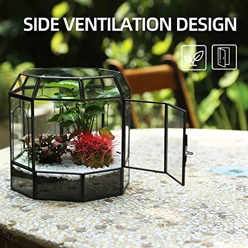 REDHUGO Large Glass Terrarium Handmade, Centerpiece Display Box Gift Planter Containers Indoor Terrariums House for Succulent Cacti Air Plants Miniature Fairy Garden - Image 2