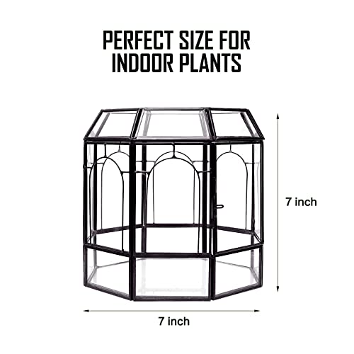 REDHUGO Large Glass Terrarium Handmade, Centerpiece Display Box Gift Planter Containers Indoor Terrariums House for Succulent Cacti Air Plants Miniature Fairy Garden - Image 3