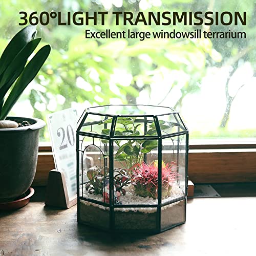 REDHUGO Large Glass Terrarium Handmade, Centerpiece Display Box Gift Planter Containers Indoor Terrariums House for Succulent Cacti Air Plants Miniature Fairy Garden - Image 4
