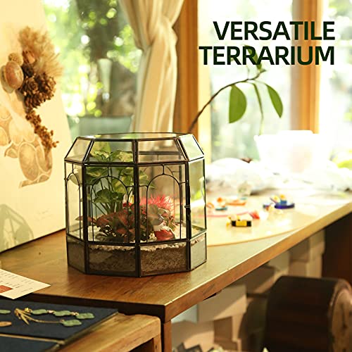 REDHUGO Large Glass Terrarium Handmade, Centerpiece Display Box Gift Planter Containers Indoor Terrariums House for Succulent Cacti Air Plants Miniature Fairy Garden - Image 5
