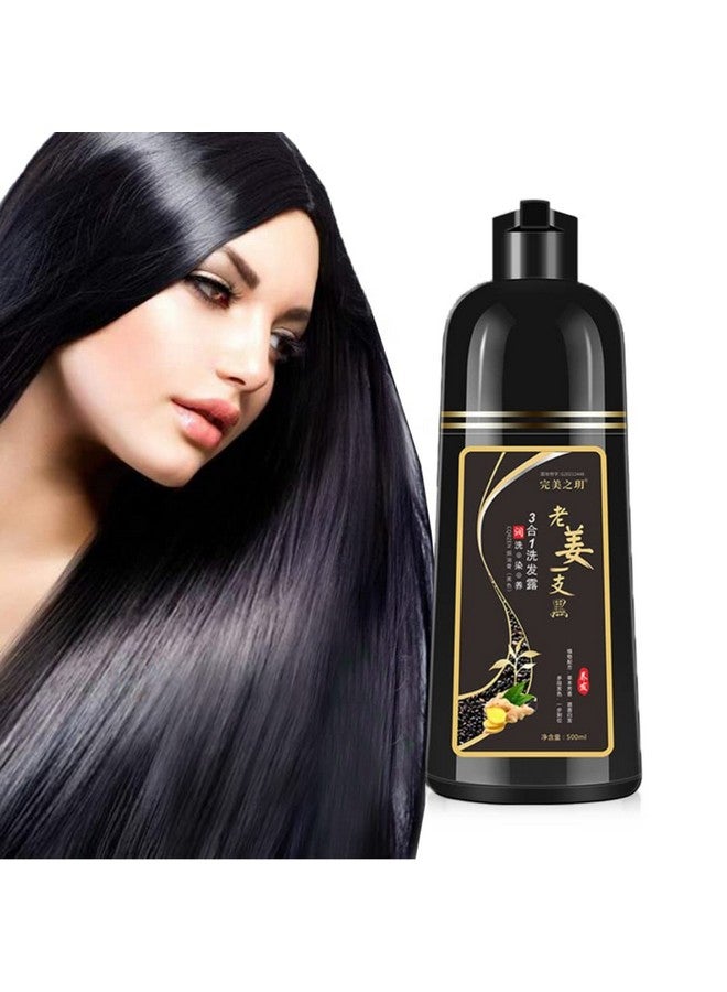 GURKOOYD Natural Black Hair Dye Shampoo 3 In 1 Instant Hair Color Shampoo For Women Hair Color Shampoo For Gray Hair Coverage Champu Con Tinte Para Canas In Minutes (Black)  - Image 2