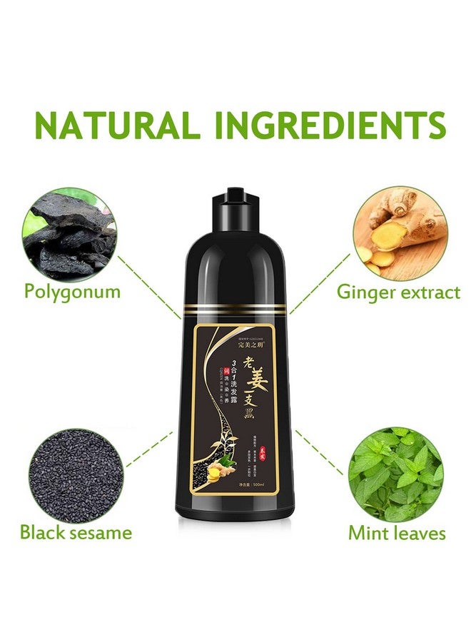GURKOOYD Natural Black Hair Dye Shampoo 3 In 1 Instant Hair Color Shampoo For Women Hair Color Shampoo For Gray Hair Coverage Champu Con Tinte Para Canas In Minutes (Black)  - Image 3
